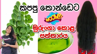 Moringa hair tonic|අමුද්‍රව්‍ය දෙකෙන් බලගතු hair tonic එකක්