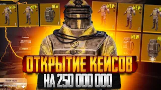 ОТКРЫТИЕ ЗОЛОТЫХ КЕЙСОВ НА 250.000.000 😱ЧТО УПАДЕТ В НОВОМ METRO ROYALE  | МЕТРО РОЯЛ | МЕТРО РОЯЛЬ