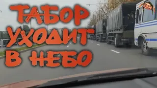 [Dobry Troll] Табор уходит в небо – Беларусь самолет belavia юмор мемы