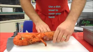 How to cook a live lobster