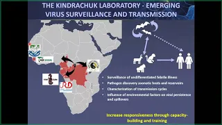 Characterizing Emerging Virus Circulation and Spillovers in West and Central Africa