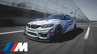 BMW M4 GT4 training: an adventure on the tarmac.