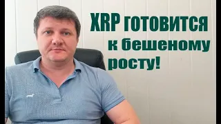 XRP ГОТОВИТСЯ К БЕШЕНОМУ РОСТУ ПОСЛЕ ХАЛВИНГА