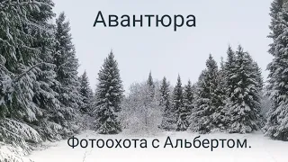 Фотоохота с Альбертом.  Авантюра.