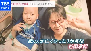 「海外で使える薬が日本では使えない」小児がんで亡くなった子と母親の訴え【news23】