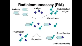 Radioimmunoassay: Definition, purposes, and principle