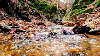 Звук воды от ручья. Иди спать под звуки природы. Релакс для сна и отдыха