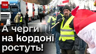 😡 Поляки безчинствують на кордонах! На які кроки йде Україна для вирішення ситуації