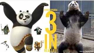 Kung fu panda 3 characters in real life!