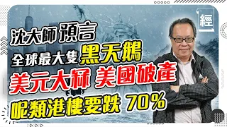 沈大師（沈振盈) 預言巨型黑天鵝： 美國未來2年或會破產！美元冇你諗得咁穩陣；港樓跌返落20年前水平先合理 呢類港樓會跌70％； 玄學角度分析中國、俄羅斯、香港下年強勢 ；由6萬沽比特幣到2萬好和味