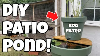 DIY ‘Patio Pond’ Build, with BOG FILTER!