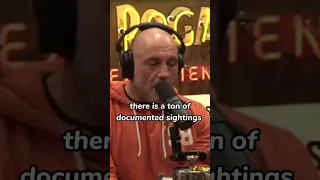 Joe Rogan tells Jack carr Aliens are monitoring us #shorts #joerogan #sealteam