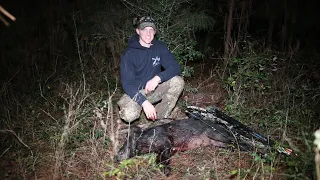 Hog Kill With Bow