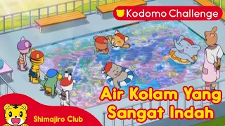 Shimajiro | Pendidikan Anak | Air Kolam, Warnanya Apa? Ep.80.1 - Kodomo Challenge