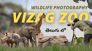 vizag zoo wildlife photography | telugu photography vlogs | Indira Gandhi Zoological park