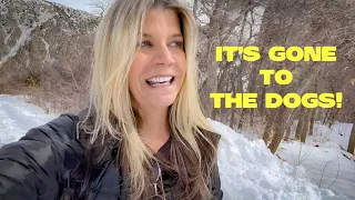 LIVING IN A TRAVEL TRAILER in SUB FREEZING Temps and SNOW | SNOW HIKING | Utah WINTER | Van Life