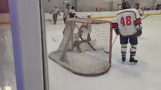 Hamilton Backhand Goal