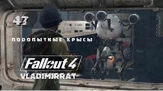 Fallout 4 Полное прохождение◆Подопытные крысы.(Выживание).#47