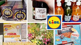 LIDL FRANCE ARRIVAGE 07-02 OFFRES SPÉCIALES PROMO