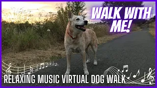 Evening Stroll in Des Moines Washington ~ Relaxing Music Virtual Dog Walk / Nature Sounds