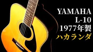 えっ？ハカランダでこの価格？やっぱり日本製は凄すぎ！【YAMAHA L-10 前期モデル】1977年製（完全予約制 名古屋アコギ専門店 オットリーヤギター）