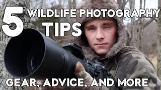 5 Wildlife Photography Tips You NEED To Know (2022)