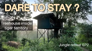 Treehouse inside tiger territory | No other humans around | Wayanad forest stay | Jungle retreat EP2