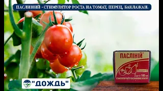 Паслиний - стимулятор роста на томат, перец, баклажан.