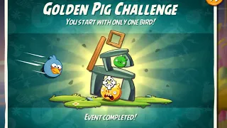 Angry Birds 2 GOLDEN PIG CHALLENGE BLUE 31/05/2024