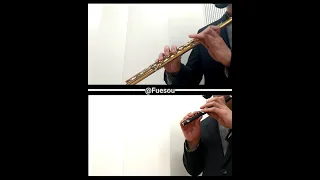 Bedřich Smetana "Vltava (Die Moldau)" for 2 Flutes and Piano
