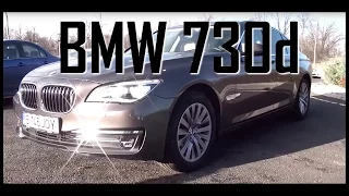 REVIEW - BMW 730d (2013) (www.buhnici.ro)