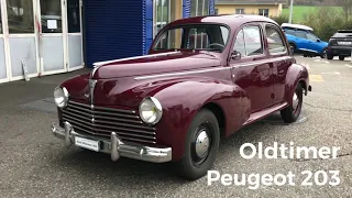 Peugeot 203 | Oldtimer (013)