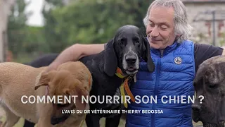 Comment nourrir son chien ? L'avis du Dr vétérinaire Thierry Bedossa sur l'alimentation des animaux