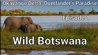 Okavango Delta: Part 1- Moremi Game Reserve Self Drive