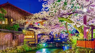 Sakura-Tsukiyo ♬ Slow, relaxing music ♬ Emotional Japanese song