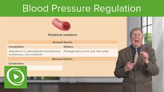 Blood Pressure Regulation