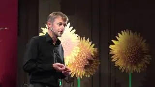 Effectuation. Elemente der unternehmerischen Methode: Michael Faschingbauer at TEDxSalzburg