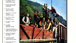 Greenhorns /Zelenáči/ - Toulavej song (23.4.1972)