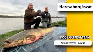 Az ősz fényei, 1. rész - Koós Catfish Team