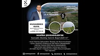 Manisa Şehzadeler Sancaklı Bozköy Satılık Bağ 6.620 m2