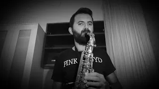 I will always love you - Whitney Houston (Alto sax cover)