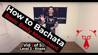 How to Dance Bachata - Level 2 - Bachata Tutorials by Red Bear Dance - Basic Body Movement