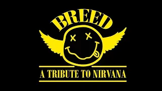 Breed A Tribute To Nirvana Live Beach City Ohio 7/25/20