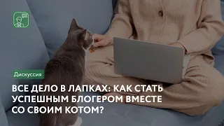 Всё дело в лапках: как стать успешным блогером вместе со своим котом? | Онлайн-дискуссия