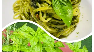 Come conservare il basilico, tecnica furbissima.￼un pesto fresco tutto l’anno, no vasetti no scorte