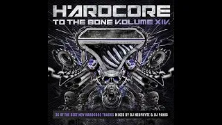 VA - Hardcore To The Bone Volume XIV -2CD-2010 - FULL ALBUM HQ