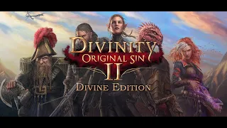 Прохождение Divinity: Original Sin 2 на уровне сложности Доблесть 8 часть.