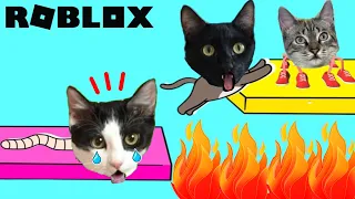 Roblox pero somos animales jugando con gatitos Luna y Estrella / Easy pet obby en español