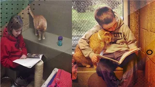 Children Are Reading To Cats To Calm Shy Shelter Animals And The Cats Love It