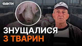 💔 ГОРІЛО ВСЕ: і ферма, і СВИНІ - російські ЗАГАРБНИКИ НЕ ПОЖАЛІЛИ НІКОГО